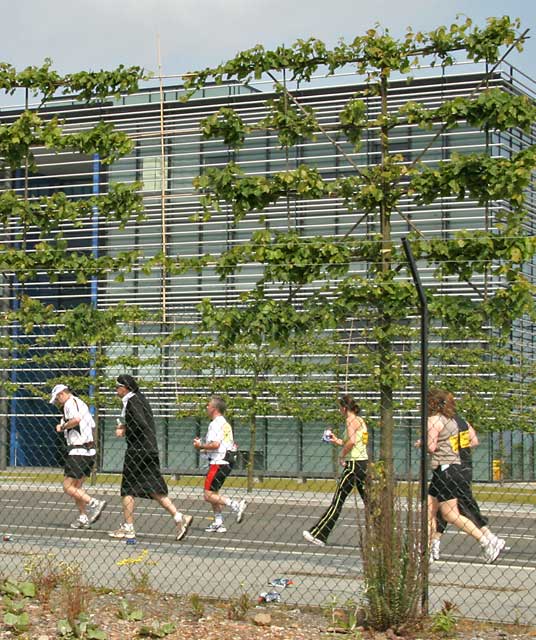 Edinburgh Marathon passing through Granton  -  June 11, 2006