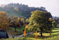 Photograph by Peter Stubbs  -  Edinburgh  -  November 2002  -  East Princes Street Gardens and Edinburgh Castle on Remembrance Sunday