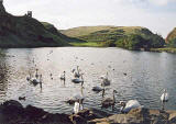 Photograph by Peter Stubbs  -  Edinburgh  -  November 2002  -  Looking to the south-west across St Margaret's Loch towards the ruin of St Anthony's Chapel in Queen's Park