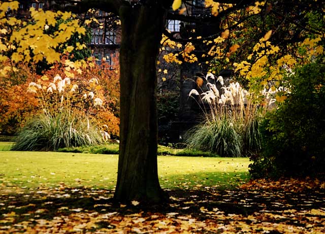 View into St Andrew Square Gardens from the north on 1 November 2003