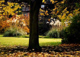 Looking to the south into St Andrew Square Gardens from the pavement on the north side of St Andrew Square