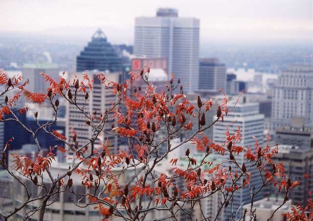 Looking south-east over the City from the esplanade at Chalet de la Montagne, Parc Mont Royal, Montreal  -  Photograph taken 17 October 2003