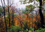 Looking towards the City from the north-eastern corner of Parc Mont-Royal  -  Photo taken 17 October 2003