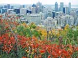 Looking east over the City from the esplanade outside Chalet de la Montagne, Parc Mont-Royal, Montreal  -  Photo taken 17 October 2003