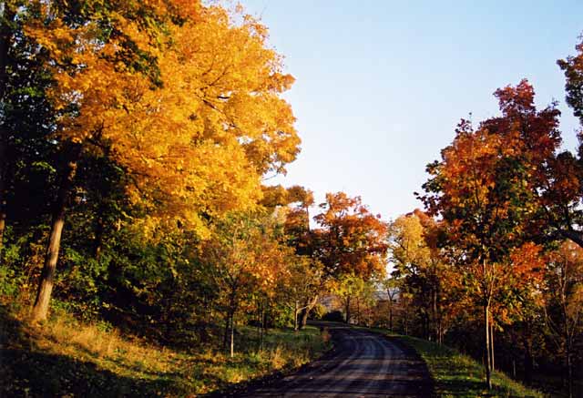 Road through the park  -  Parc Mont-Royal, Montreal  -  Photo taken 15 October 2003