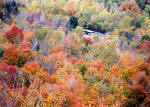 Looking down from the north-eastern corner of Parc Mont-Royal  -  Photo taken 17 October 2003