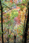 Colours of the Fall  -  Parc Mont-Royal, Montreal  -  Photo taken 17 October 2003