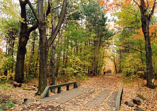 Old Bridge in Parc Mont-Royal in the Fall