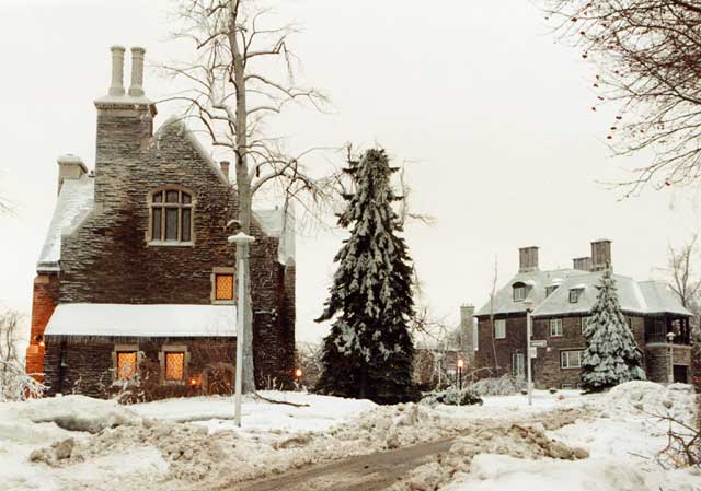 Christmas Scene  -  on the edge of Parc Mont-Ryoal, Montreal