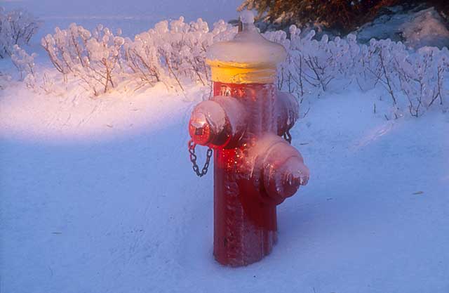 Fire Hydrant in Winter  -  on the edge of Parc Mont-Royal, Montreal