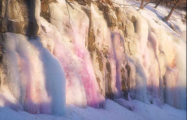 Icicles on the southern edge of Parc Mont-Royal, Montreal  -  January 1998