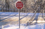 Montreal - Stop sign in winter