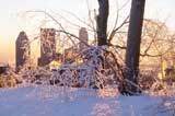 Looking towards Downtown Montreal from Parc Mont-Royal on a cold winter morning