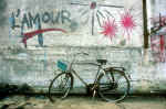 Cycle  -  Near Amsterdam