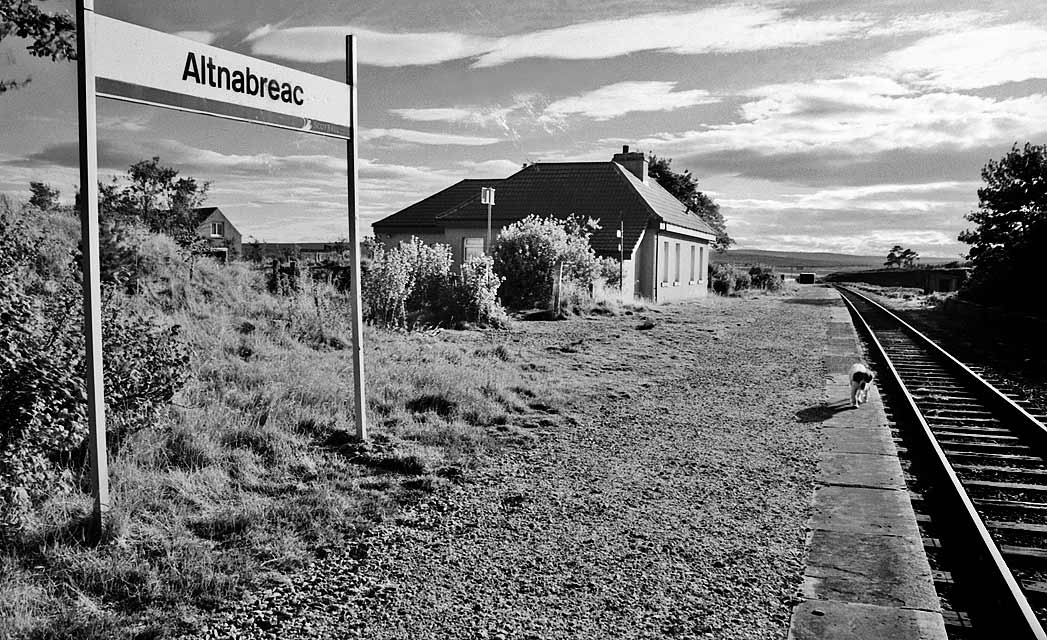 Scottish Railway Stations  -  Altnabreac  -  5 Sep 1999