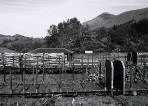 Scottish Railway Stations  -  Crianlarich  -  26 June 2005