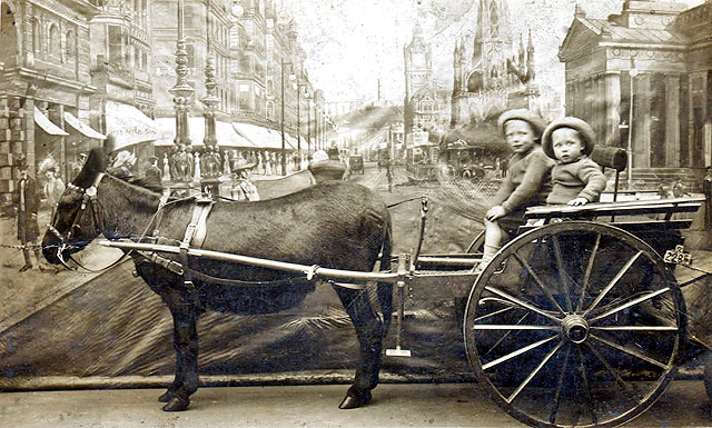 Postcard by an unidentified publisher, featuring a backdrop of Princes Street and a stuffed donkey