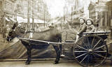 Postcard by an unidentified publisher, featuring a backdrop of Princes Street and a stuffed donkey