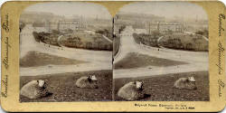 Stereo view in Albumable series  -  Holyrood Palace