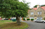 Tree in the NW corner of Earl Haig Gardens, planted by King George V and Queen Mary in July 1923  -  Photographed 2006