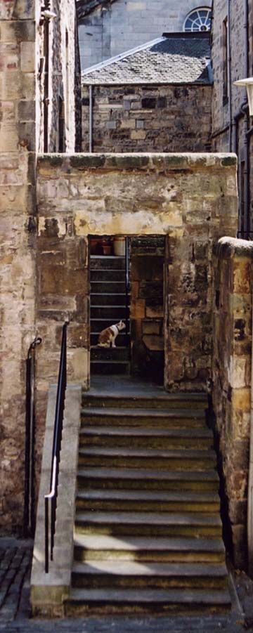 View to the south from the end of Fountain Close