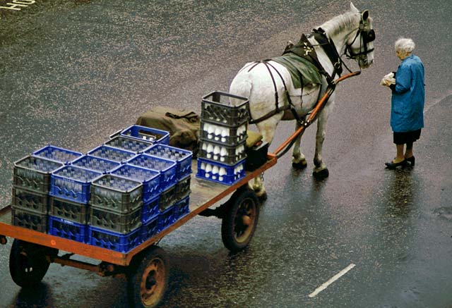 St Cuthbert's Milk Horse at Gladstone Terrace