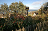 View from Granton Road towards the Firth of Forth