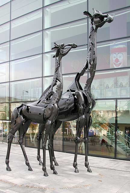 Two Giraffes outside the Omni Centre, Greenside Place, Top of Leith Walk, Edinburgh