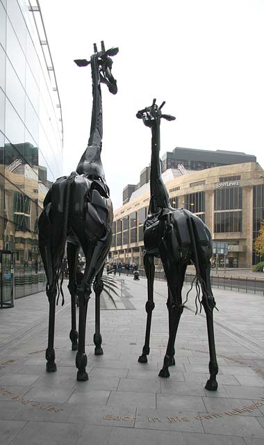 Two Giraffes outside the Omni Centre, Greenside Place, Top of Leith Walk, Edinburgh