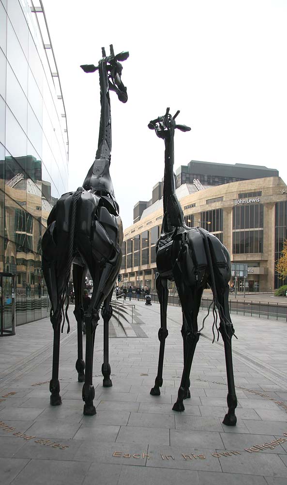 Two Giraffes outside the Omni Centre, Greenside Place, Top of Leith Walk, Edinburgh