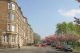 Harrison Road and Cherry Trees in blossom  -  Looking SE up the road towards the bridge over the canal  -  May 2008