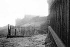 Dumbiedykes Survey Photograph - 1959  -  Steps leading from Heriot Mount to Holyrood Park