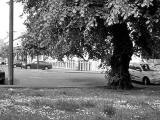 Hillside Crescent Gardens, and the junction of Hillside Crescent and the east side of Brunswick Street, 2010