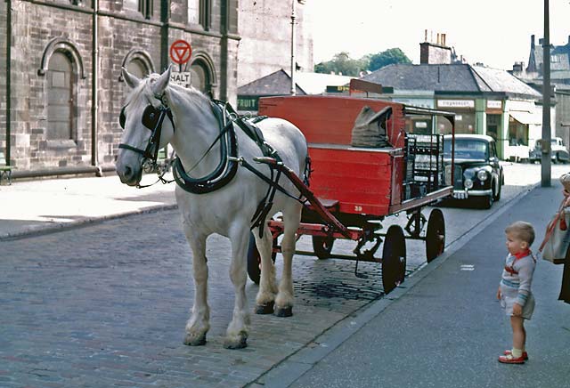 Milk deliveries by horse and cart in Leslie Place - early 1960s