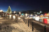 Christmas Tree on the Mound  -  November 2010