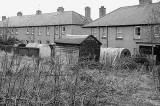 Anderson Shelters in Back Gardens at Newtoft Street, Gilmerton  -  2011