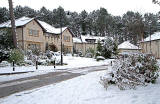 New housing on the northern section of Littlejohn Road, close to Greenbank Drive