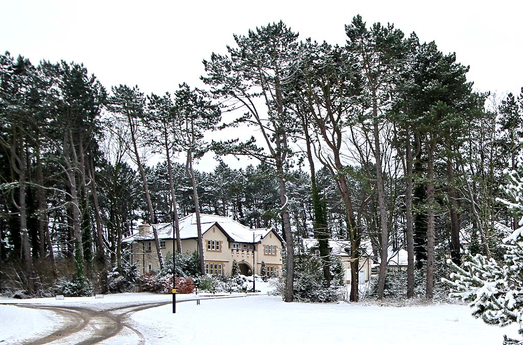 New housing on the northern section of Littlejohn Road, close to Greenbank Drive