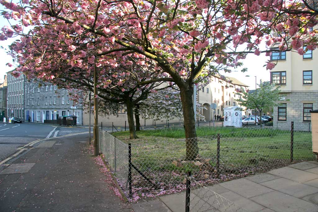 A decorated Police Box on the corner of Richmond Lane and Gilmour Street in Edinburgh Old Town  -  May 2008