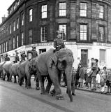 The Elephant Parade from Billy Smart's Circus makes its way along Shandwick Place en route to Murrayfield  -  June 1966