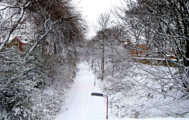 Looking east from South Trinity Road along the route of the old railway line towards Leith.  This route has now become a footpath and cycle path.