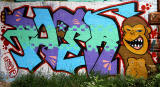 Graffiti on the  Bridge taking Telford Cycle Path under Telford Road  - June 2012