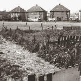 Football Field  -  Wester Drylaw Place