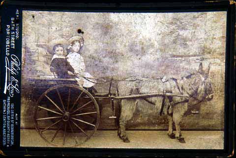 Cabinet Print - donkey and children - Photographer: Philip E Low