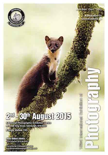Poster for Edinburgh PHotographic Society's International Exhibition, 2015 featuring a photo by Jenny Hibbert, Wales, titled: 'Pine Marten up a Branch'