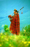 Piper in the Scottish Highlands  -  1