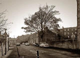Horse Chestnut Tree in Brunswick Road. Looking to the SE towards Easter Road
