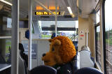 A bear, wearing the Raith Rovers FC Away Strip travels by tram near Edinburgh Park Station  -  June 2014