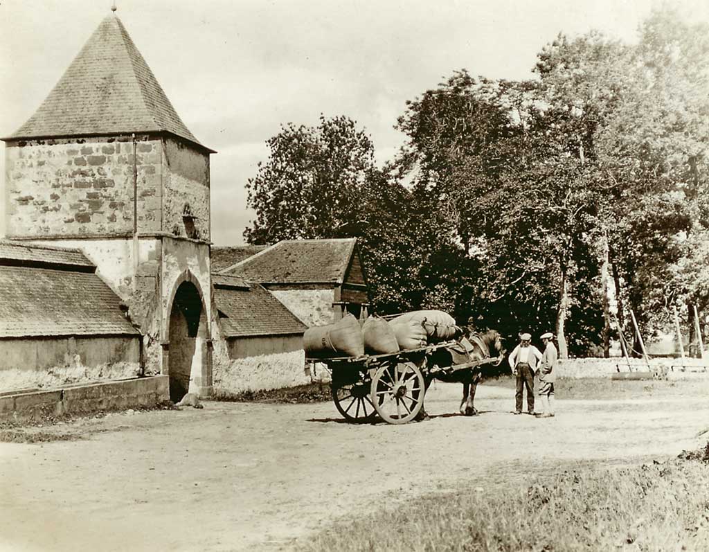 Photograph from the family of Horatio Ross  - Horse and cart, somewhere in the Scottish Highlands