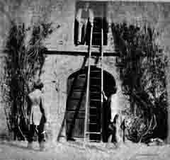 Lacock Ladder  -  from Edinburgh Calotype Club Album